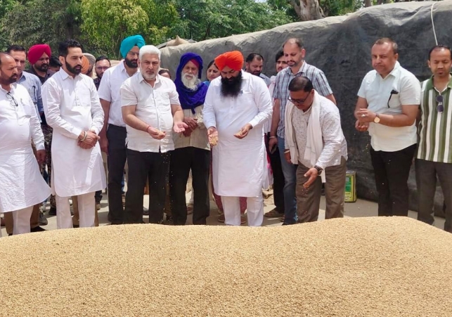 Arrival of 28 Lakh Metric Tonnes of Wheat in Punjab