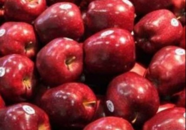 Apple Growers in North India to Protest US Import Policy on July 9