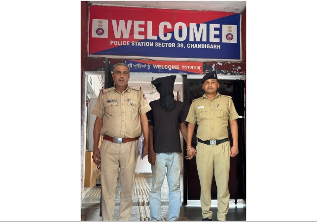 Police Apprehend Accused in Streetlight Theft Case