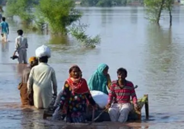 Punjab Flood Alert: Swollen Rivers Inundate Districts