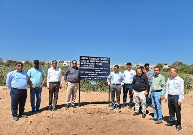 Kajari and Afri have become a boon for agriculture in Rajasthan