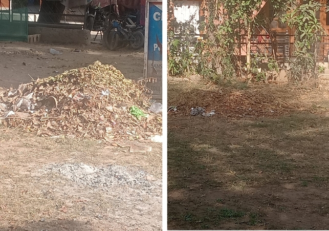 The Sanitation System in Sector 24 Park