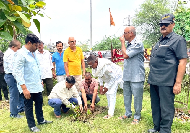 Tree plantation is not merely a campaign