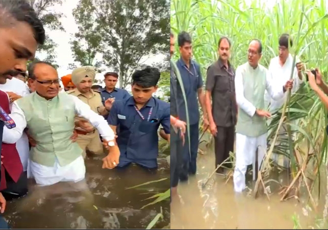 Agriculture Minister Shivraj Chouhan Visit Punjab Flood Affected Areas
