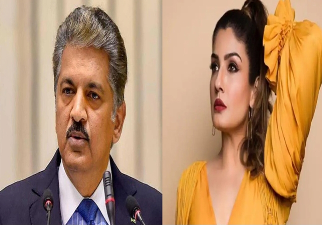 Anand Mahindra On Raveena Tandon