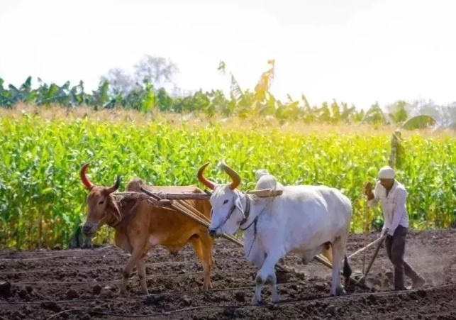 Yogi Government's Strong step Towards Economic