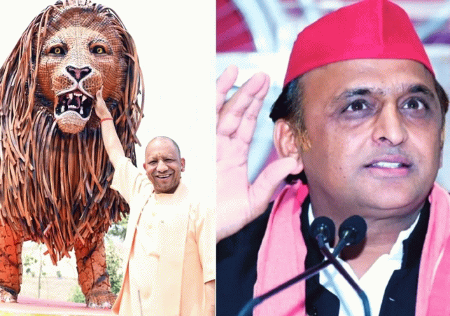 Political Attack over the ‘Fake Lion’