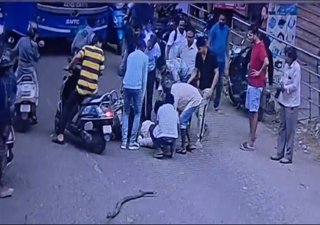 Bengaluru Tree Branch Falls on Bike Rider Accident Video 