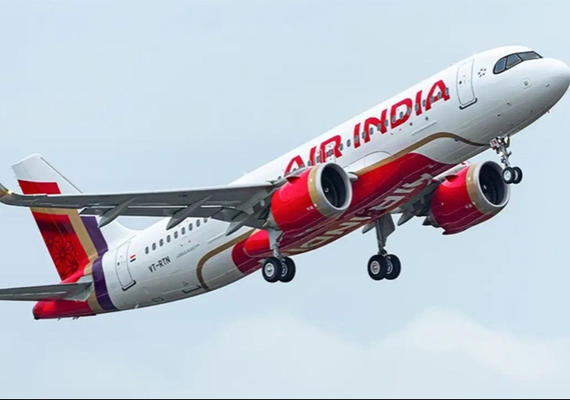 Bird Hit Air India Plane in Raipur News Update