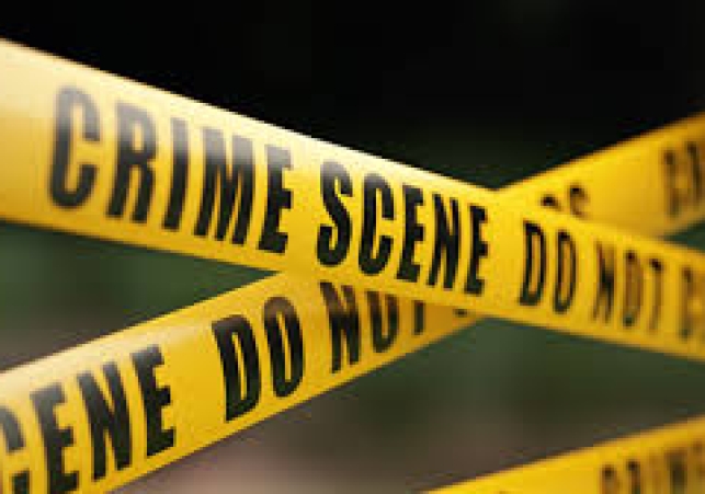 Brother kills sister over love marriage