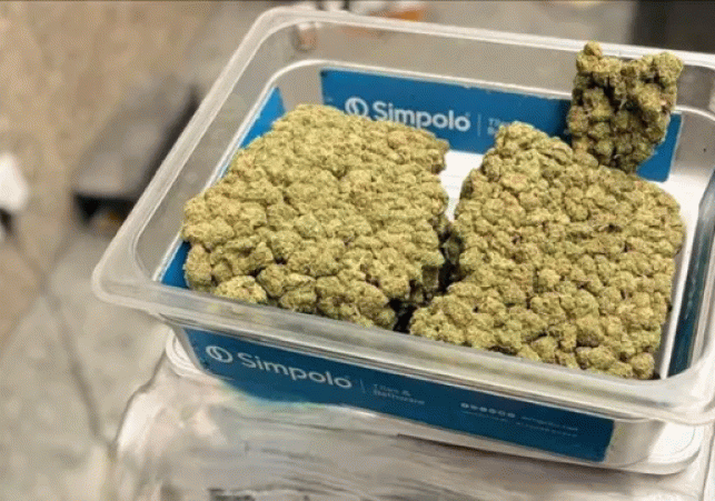 Lucknow Airport Drug Recovery