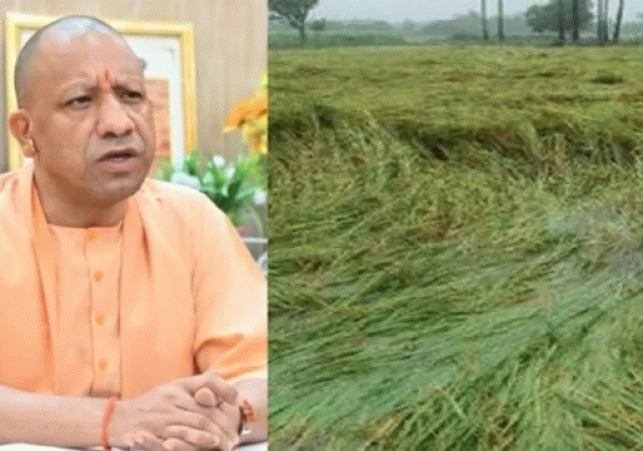 CM Takes Strict Stance on Crop Damage