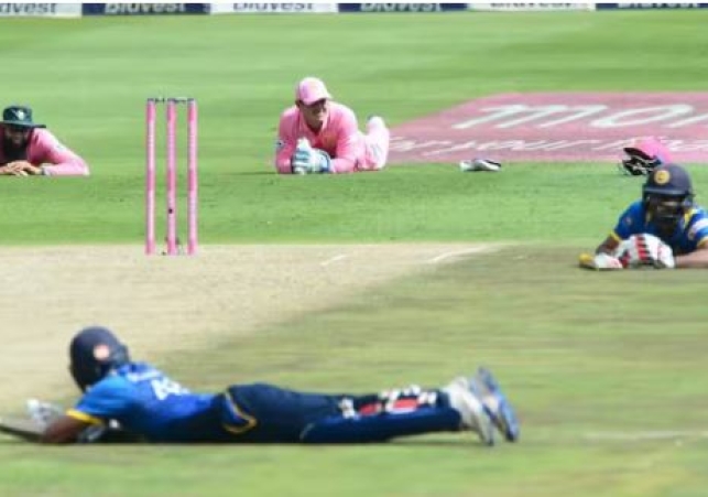 Bee Attack During Cricket Match