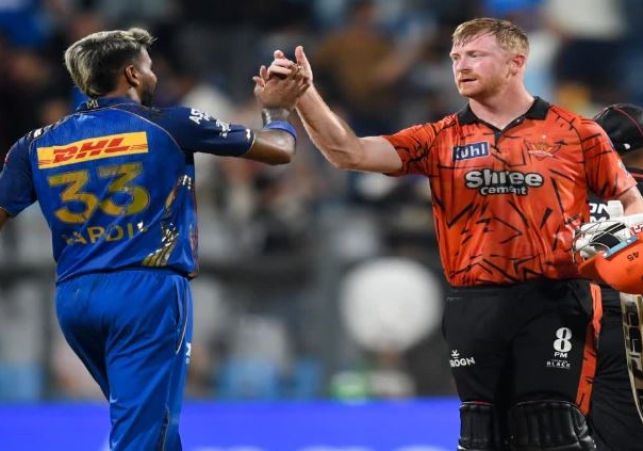 Highest Successful Run Chase in IPL For Sunrisers Hyderabad
