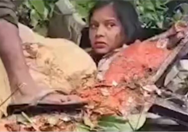 Live video of a tree falling on a bus in Barabanki