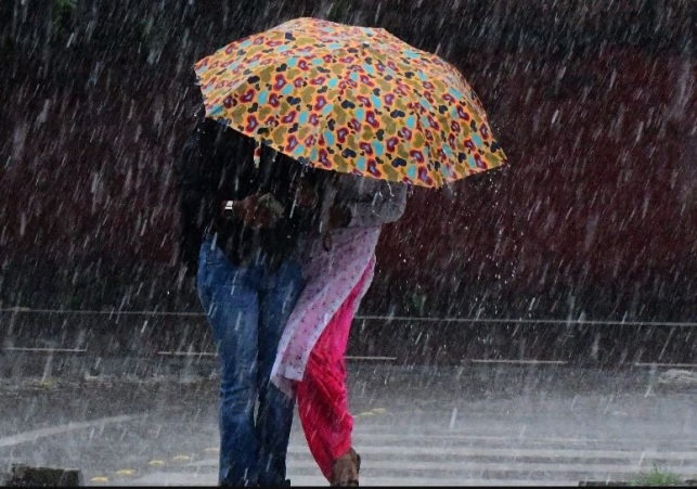 January Rains in Chandigarh