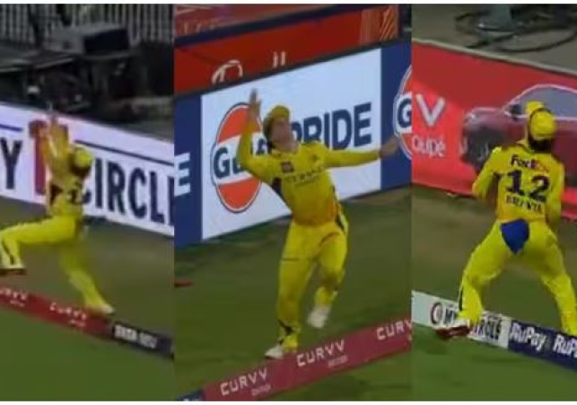 Dewald Brevis Catch