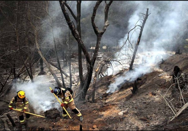 Chile Forest Fire