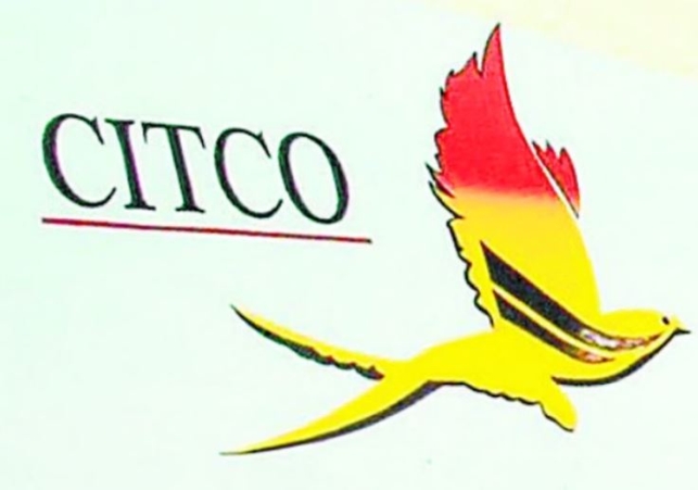 Audit report questions SITCO's functioning