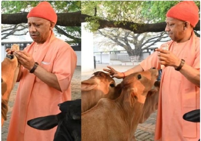 CM Yogi Holi Celebration in Gorakhpur