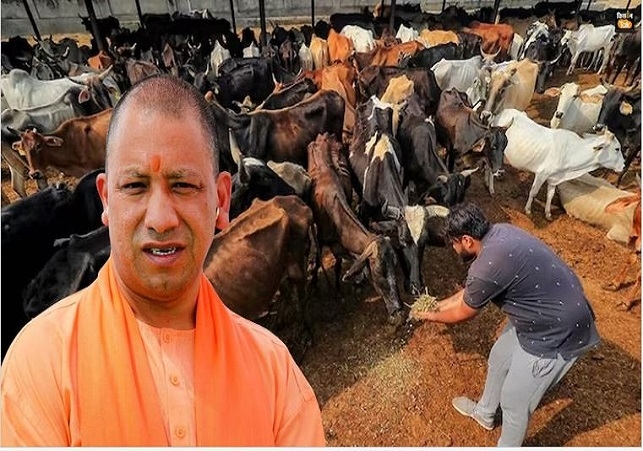 National Cow Culture Museum