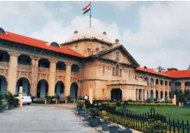 Criminal history cannot be ignored in bail