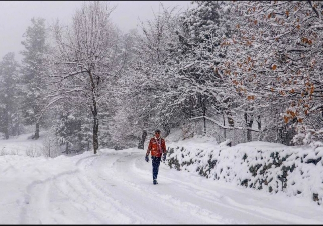 Heavy Snow Fall in Himachal