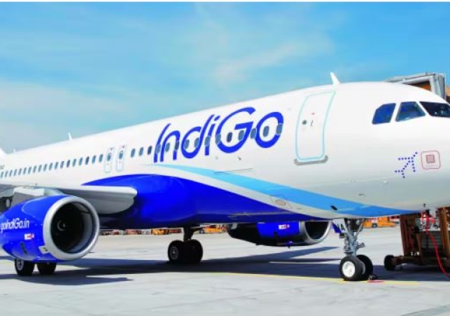  Woman harassed in INDIGO flight