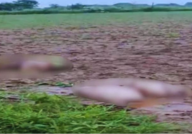 Dead Body of a Woman was Found in Two Closed Sacks