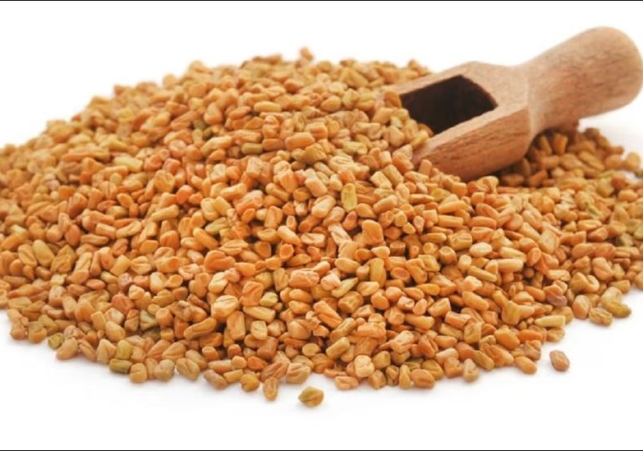 Fenugreek Seeds: A Medicinal Treasure