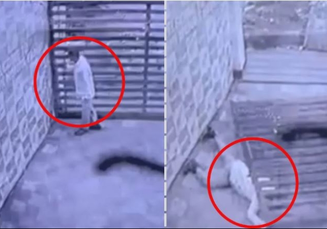Sliding Gate fell on the Security Guard
