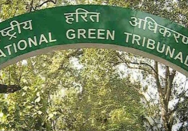 NGT Directs Municipal Corporation