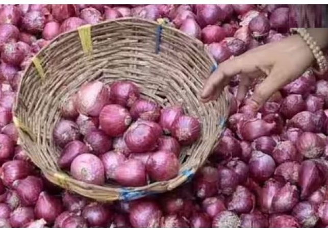 Onion Export