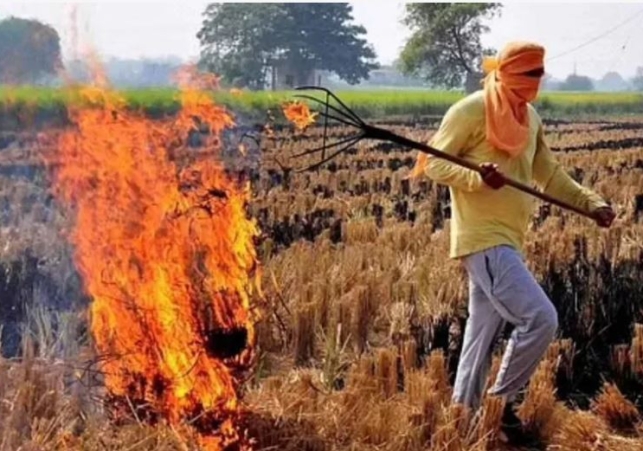 Pollution Caused by Stubble Burning