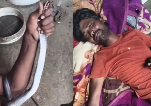 A Snake Climbed on a Sleeping Man