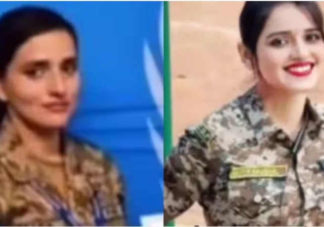 Pakistan Seema Haider Connection