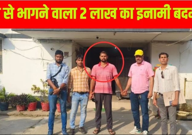 UP STF Action