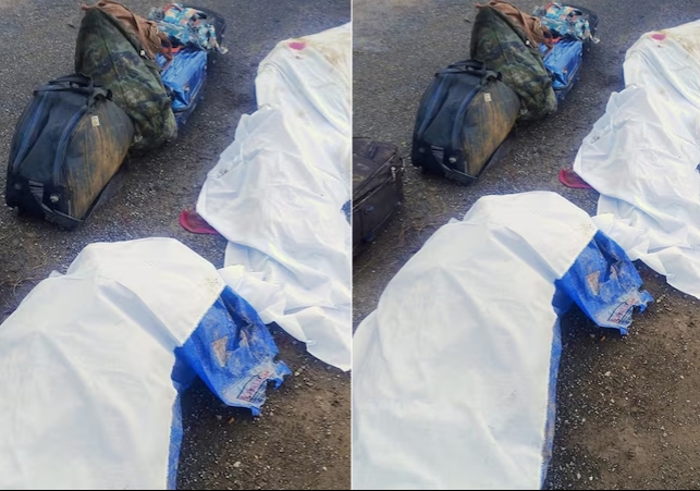 Himachal Chamba Road Accident Gujarat Tourists Death Breaking News