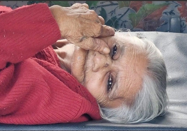 Chandigarh Greedy Children Elderly Mother Story Viral