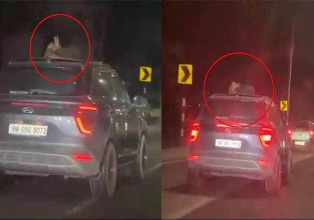 Chandigarh-Manali Highway Couple Romance Viral Video