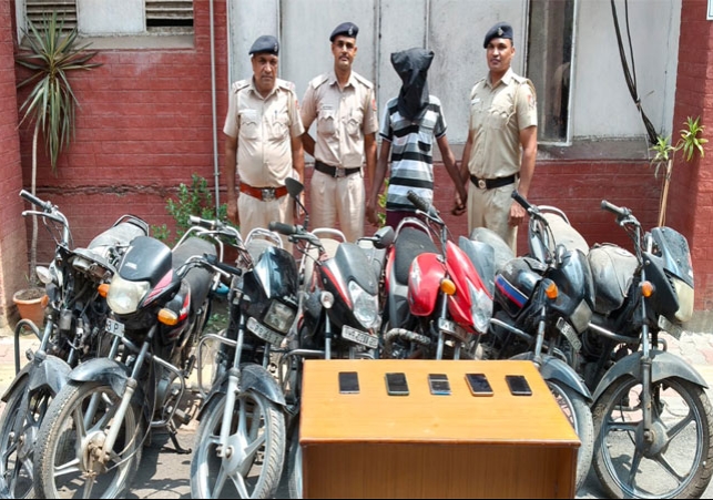 Chandigarh Police Arrested Fake Job Givers Frauders