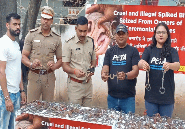 Chandigarh Police and PETA India Seized 200 Spiked Bridle