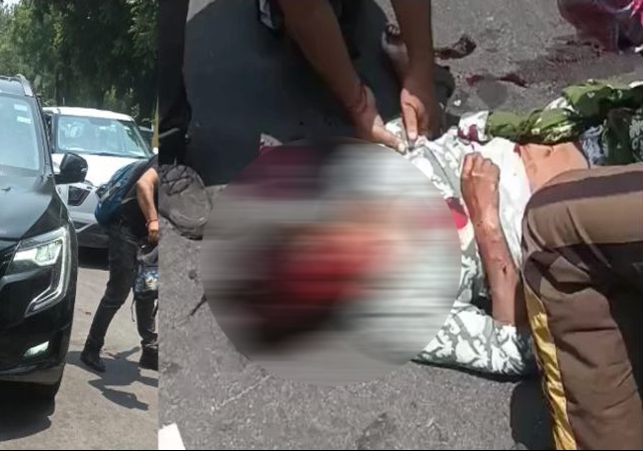 Chandigarh SUV Car Hits Mother Son On Road Accident News