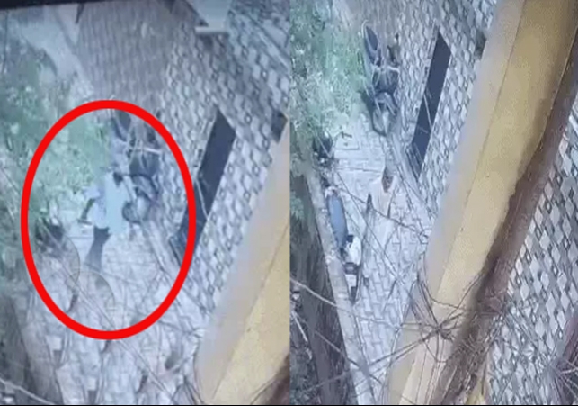 Chandigarh Sector 37 Woman Snatching CCTV Footage Crime News