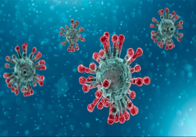 Corona Virus Cases Increased Again in India Advisory Issued News