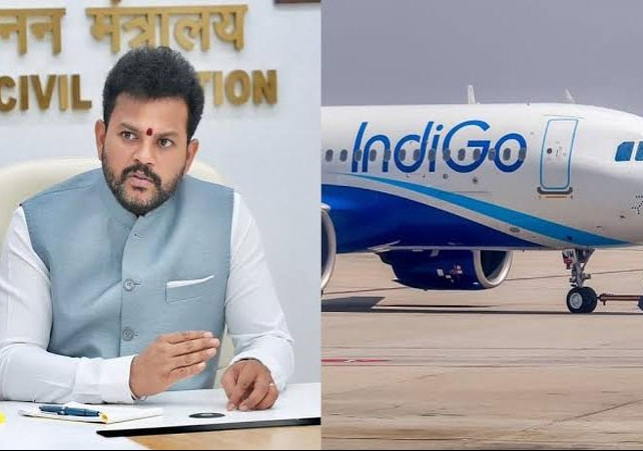 इंडिगो एयरलाइन पर सरकार का बड़ा एक्शन; DGCA का निर्देश- उड़ानों में 5% कटौती होगी, शेड्यूल अच्छे से चलाने की काबिलियत नहीं