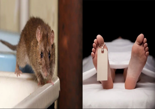 Dead Body Not Safe In Hospital News Latest Update