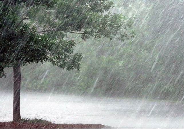 Delhi Heavy Rain