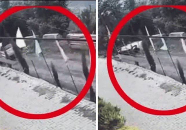 Dharamshala-Car-Acicdent-1782387204534_v
