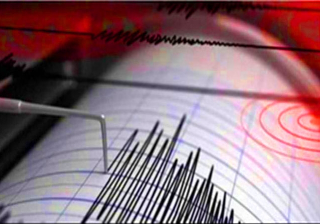 Earthquake Hits Pakistan